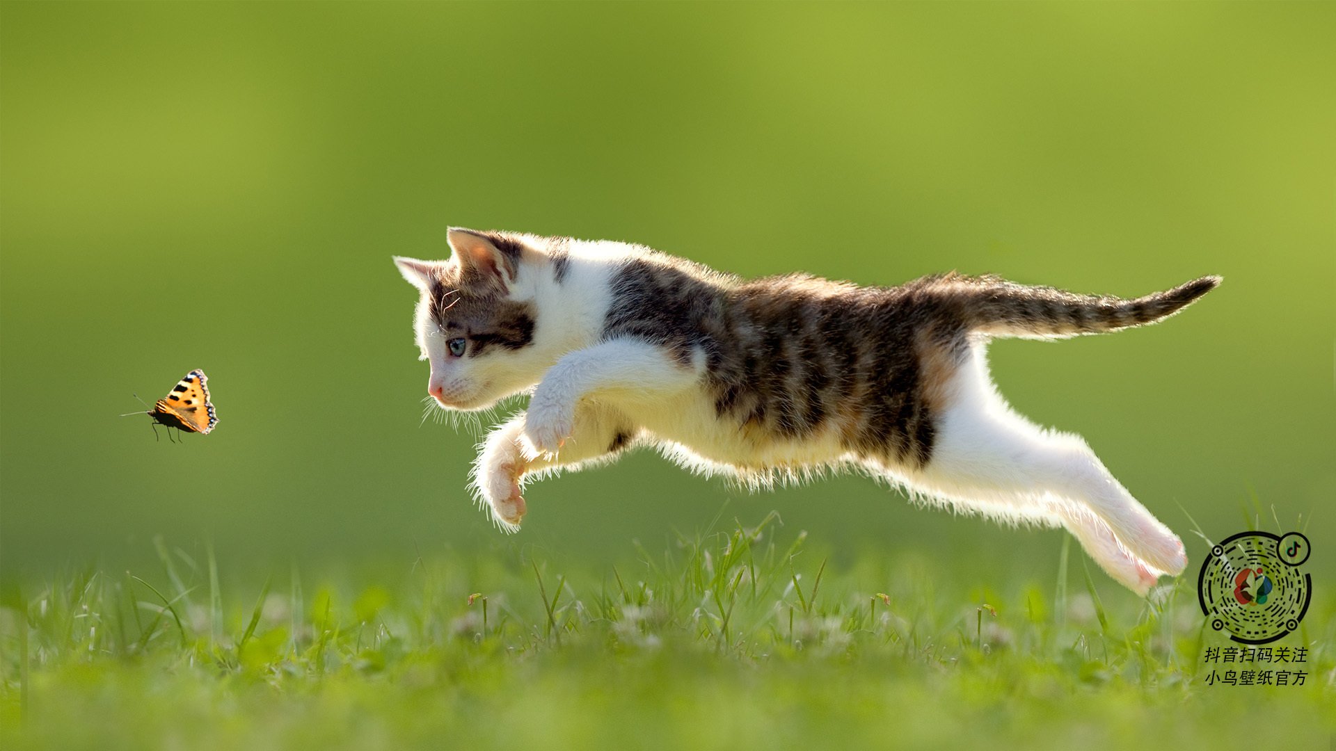 新赛季赛事安排科学合理，新赛季比赛