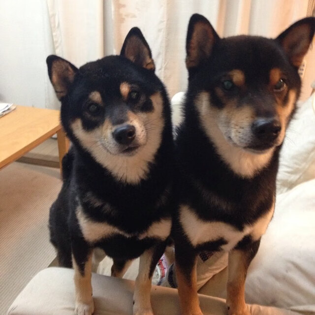 kaiyun.com-国际足坛新星崭露头角，成为众多球队争夺的焦点，国际足坛新闻